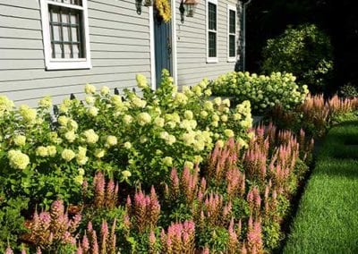 flower plantings needham newton dedham west-roxbury ma