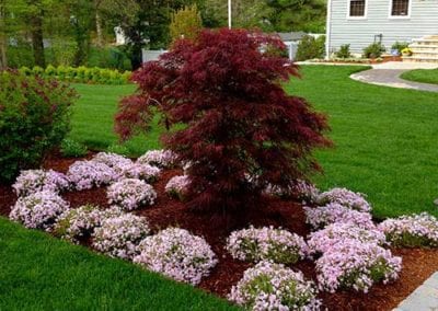 front yard plantings needham newton dedham west-roxbury ma