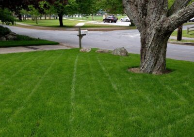 lawn installation walpole dover westwood wellesley needham 7