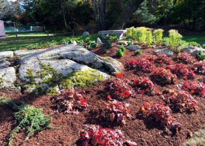 plantings landscape design walpole dover westwood wellesley needham 24