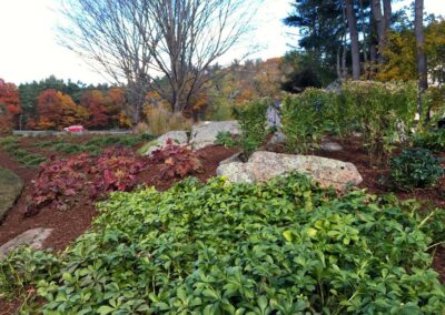 plantings landscape design walpole dover westwood wellesley needham 27