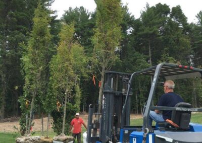 plantings landscape design walpole dover westwood wellesley needham 31