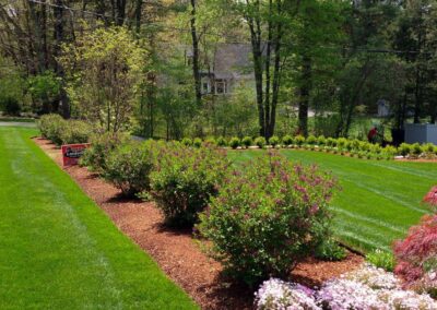 plantings landscape design walpole dover westwood wellesley needham 34