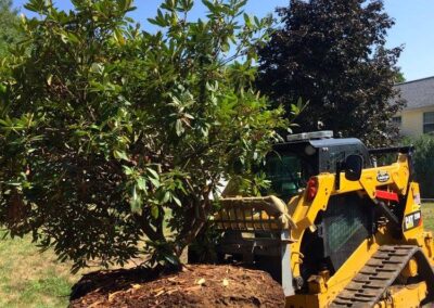 plantings landscape design walpole dover westwood wellesley needham 36