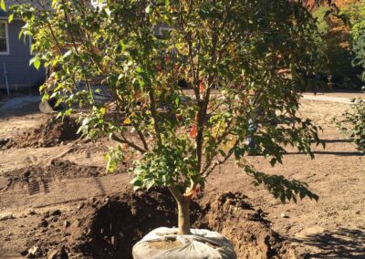 plantings landscape design walpole dover westwood wellesley needham 38