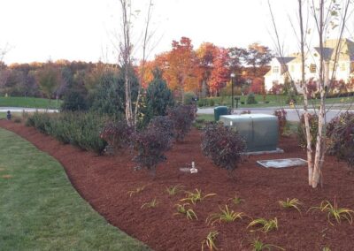 plantings landscape design walpole dover westwood wellesley needham 40