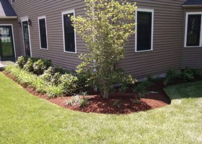 plantings landscape design walpole dover westwood wellesley needham 41