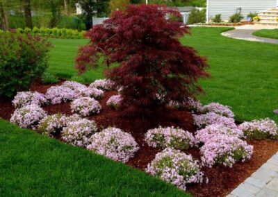 plantings landscape design walpole dover westwood wellesley needham 44