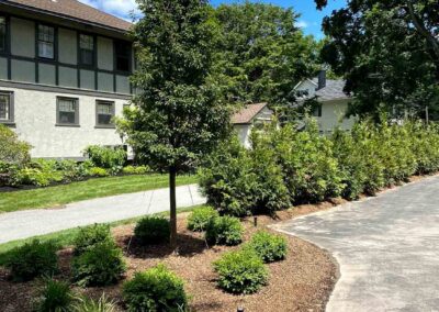 plantings landscape design walpole dover westwood wellesley needham 58