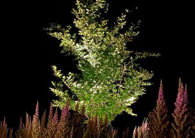 plantings landscape design walpole dover westwood wellesley needham 59