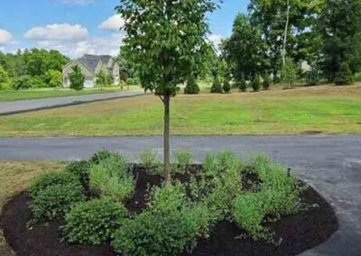 plantings landscape design walpole dover westwood wellesley needham 69