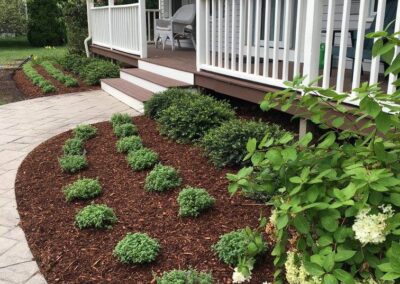 plantings landscape design walpole dover westwood wellesley needham 7