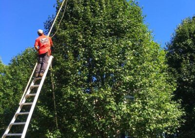 property maintenance walpole dover westwood wellesley needham 21