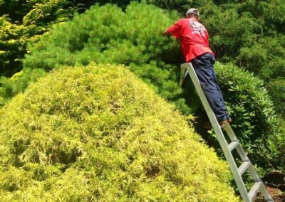 property maintenance walpole dover westwood wellesley needham 27