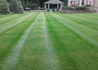 property maintenance walpole dover westwood wellesley needham 39